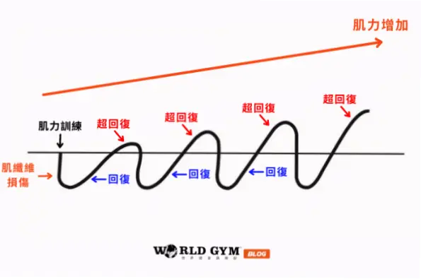 肌肉恢复时间不足，快攻效率为何大幅下滑？