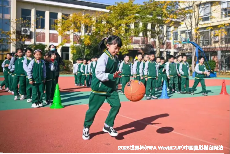 历史命中率展示